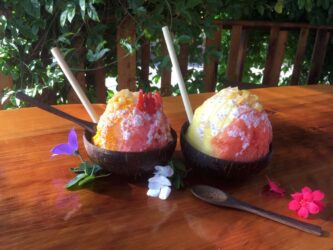 coco-lulu-shave-ice-5